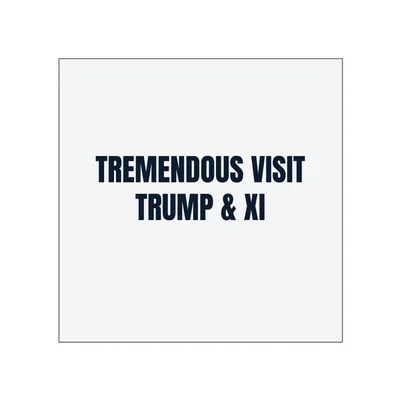 TREMENDOUS VISIT · TRUMP & XI in White