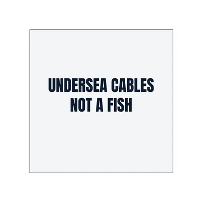 UNDERSEA CABLES · NOT A FISH in White