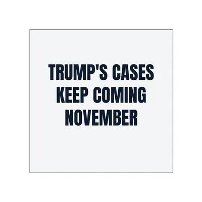 TRUMP'S CASES · KEEP COMING · NOVEMBER in White