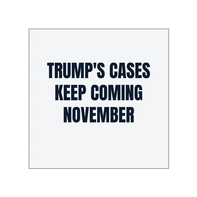 TRUMP'S CASES · KEEP COMING · NOVEMBER in White