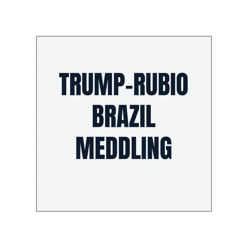 TRUMP-RUBIO · BRAZIL · MEDDLING in White