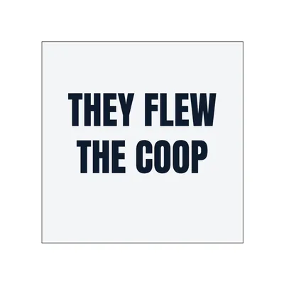 THEY FLEW · THE COOP in White