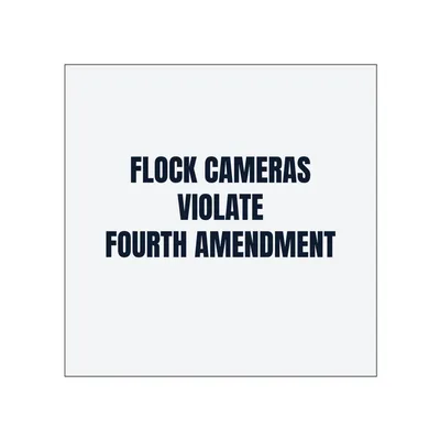 FLOCK CAMERAS · VIOLATE · FOURTH AMENDMENT in White