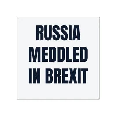 RUSSIA · MEDDLED · IN BREXIT in White