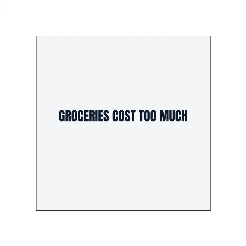 GROCERIES COST TOO MUCH in White