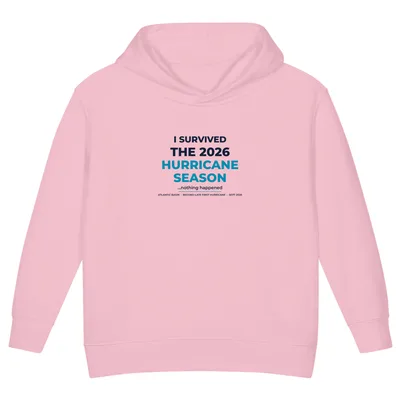 Toddler Pullover Fleece Hoodie in Pink
