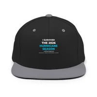 Classic Snapback — Black/ Silver · One size