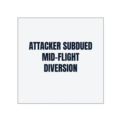 ATTACKER SUBDUED · MID-FLIGHT · DIVERSION in White