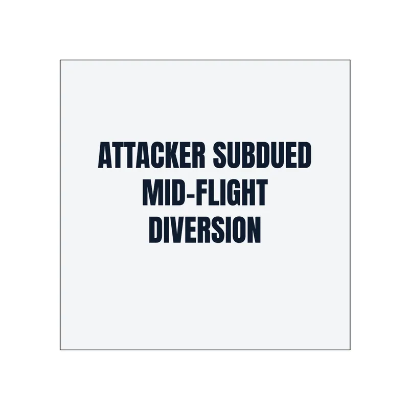 ATTACKER SUBDUED · MID-FLIGHT · DIVERSION in White