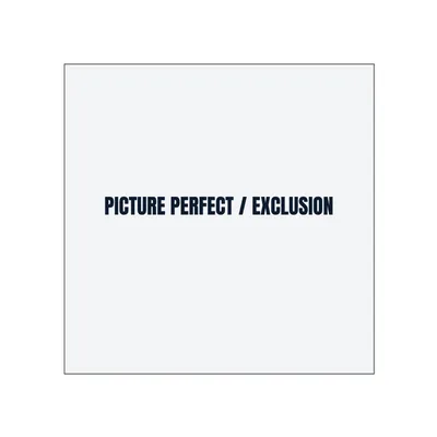 PICTURE PERFECT / EXCLUSION in White