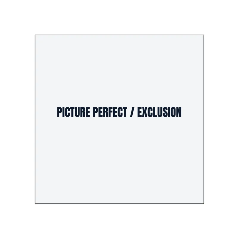 PICTURE PERFECT / EXCLUSION in White