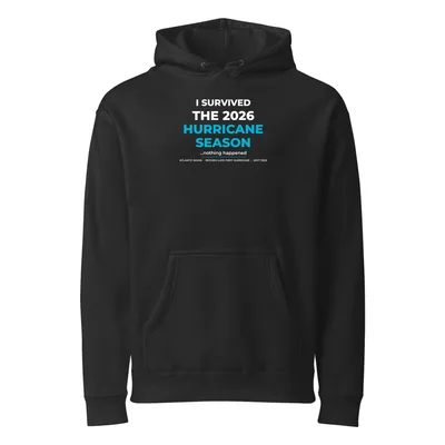 Unisex Heavyweight Hooded Sweatshirt in Black