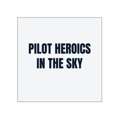 PILOT HEROICS · IN THE SKY in White