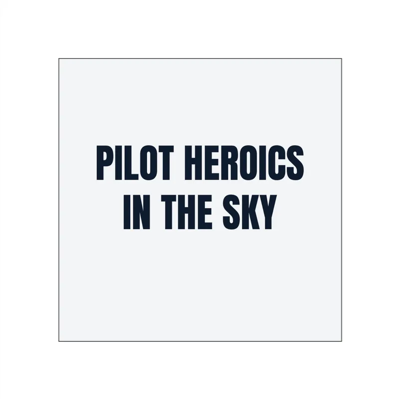PILOT HEROICS · IN THE SKY in White