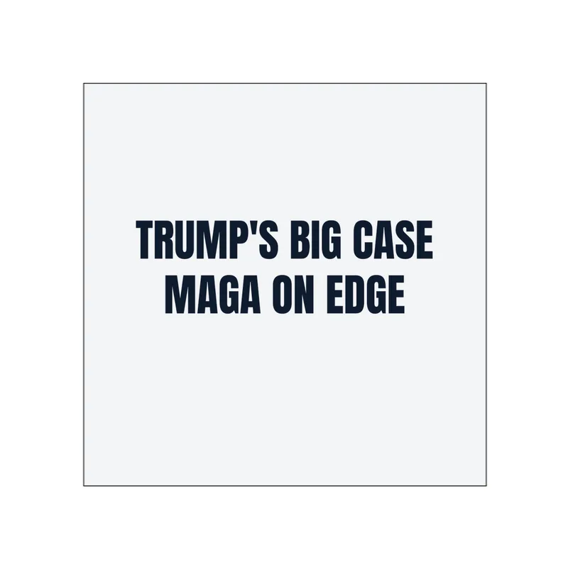 TRUMP'S BIG CASE · MAGA ON EDGE in White