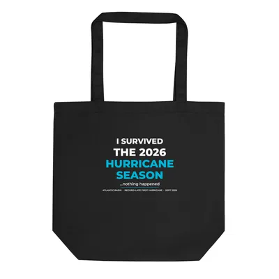 Eco Tote Bag in Black