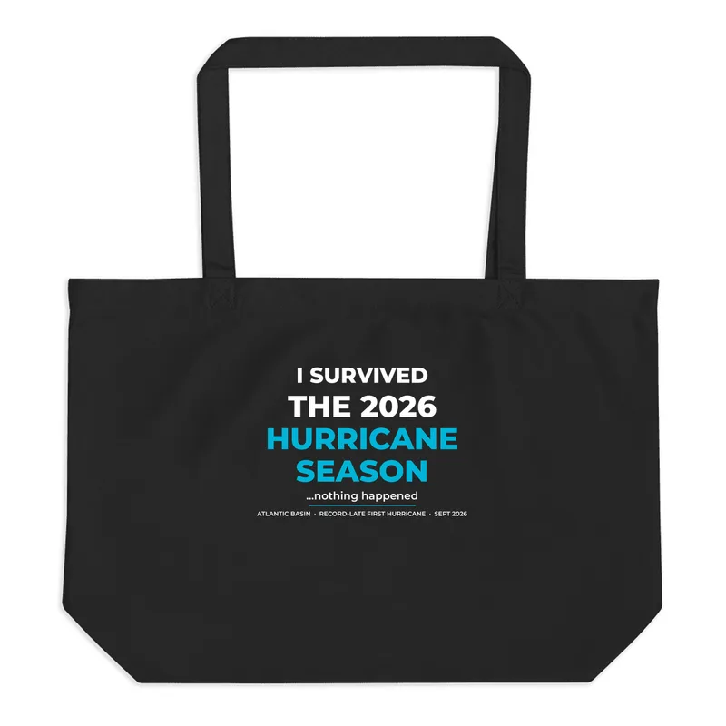 Large Eco Tote in Black