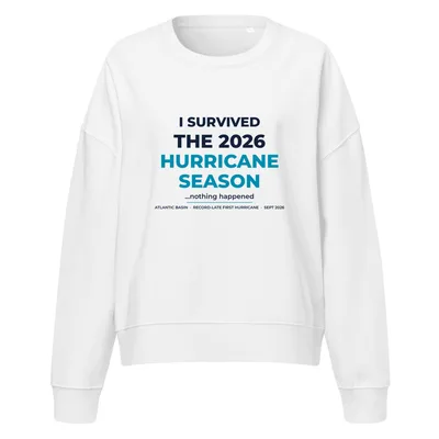 Women's Organic Crew Neck Stella Alma Sweatshirt in Cool Heather Grey