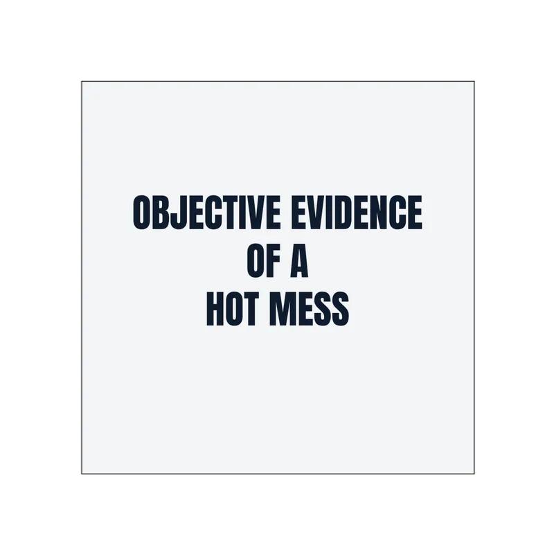 OBJECTIVE EVIDENCE · OF A · HOT MESS in White