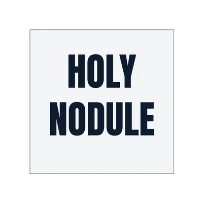 HOLY · NODULE in White