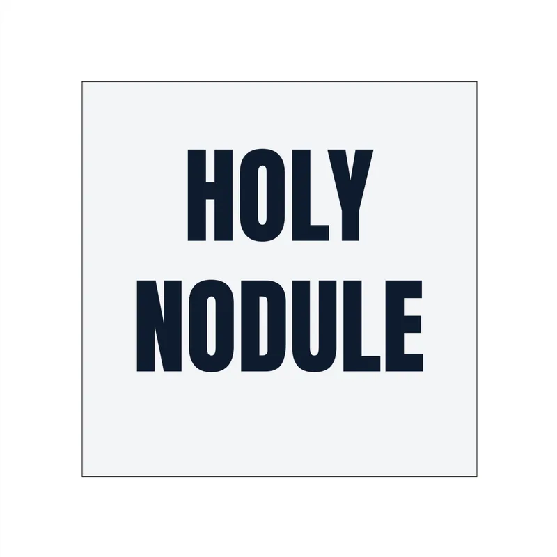 HOLY · NODULE in White
