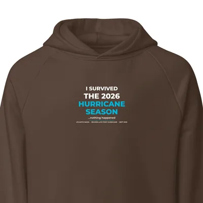 Unisex Super Heavyweight Hoodie in Chocolate Brown