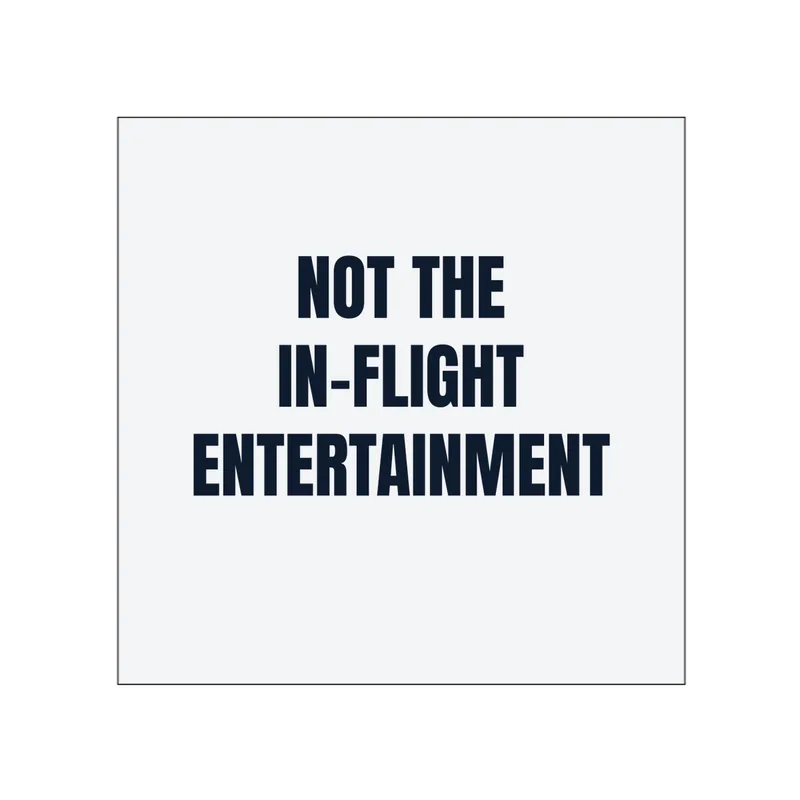 NOT THE · IN-FLIGHT · ENTERTAINMENT in White