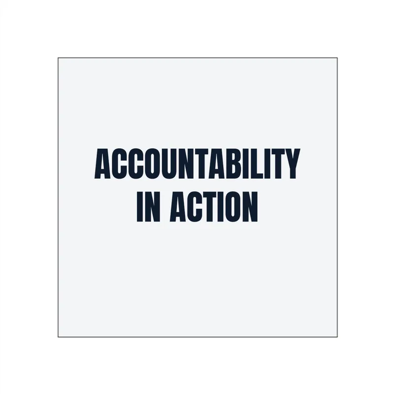 ACCOUNTABILITY · IN ACTION in White