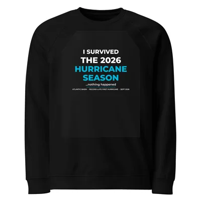 Unisex Organic Raglan Sweatshirt in Black