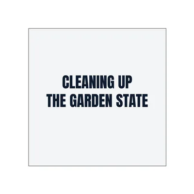 CLEANING UP · THE GARDEN STATE in White