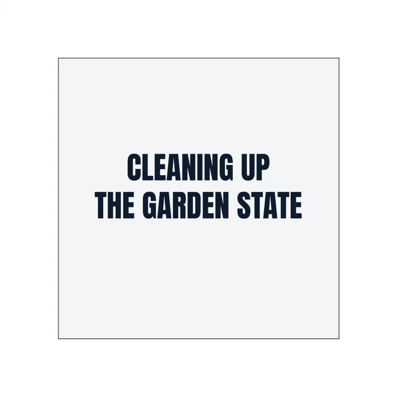 CLEANING UP · THE GARDEN STATE in White