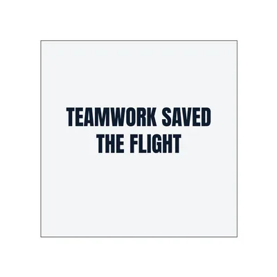 TEAMWORK SAVED · THE FLIGHT in White