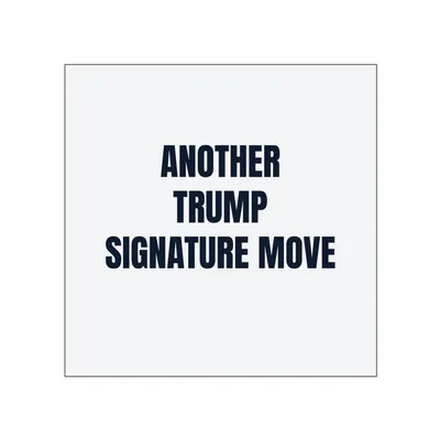 ANOTHER · TRUMP · SIGNATURE MOVE in White