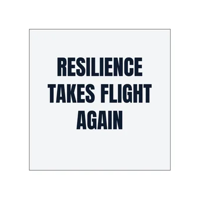 RESILIENCE · TAKES FLIGHT · AGAIN in White