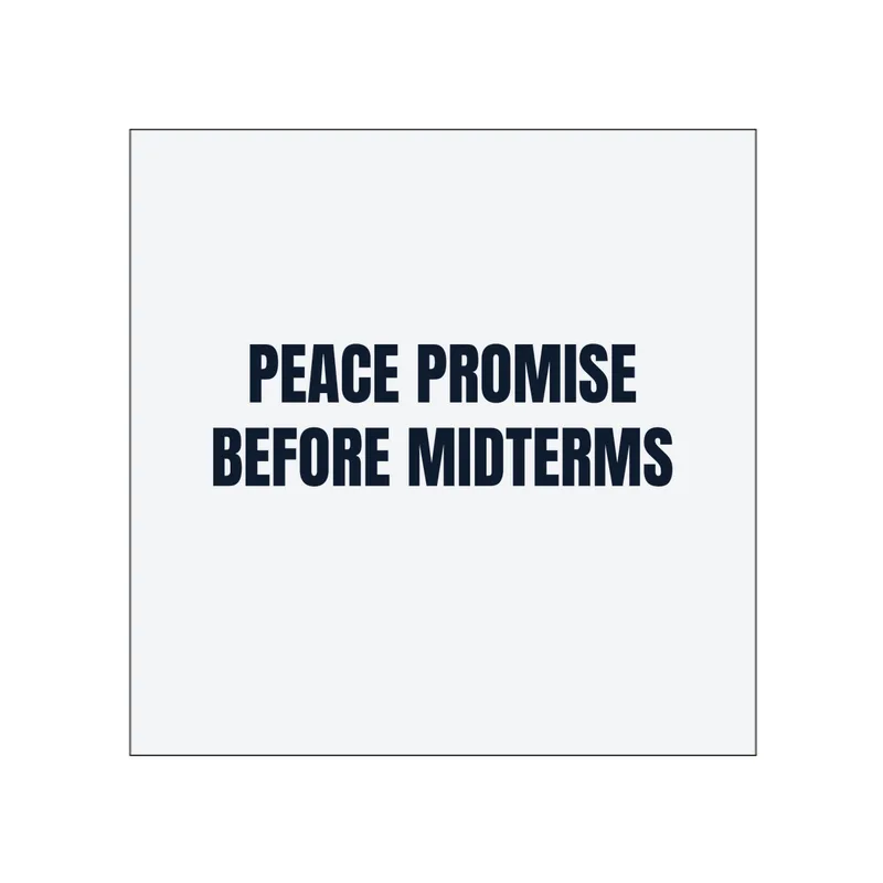 PEACE PROMISE · BEFORE MIDTERMS in White