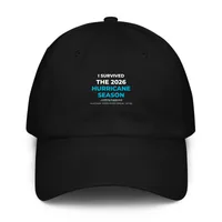 Under Armour® Dad Hat — Black · One size
