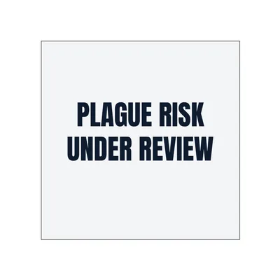 PLAGUE RISK · UNDER REVIEW in White