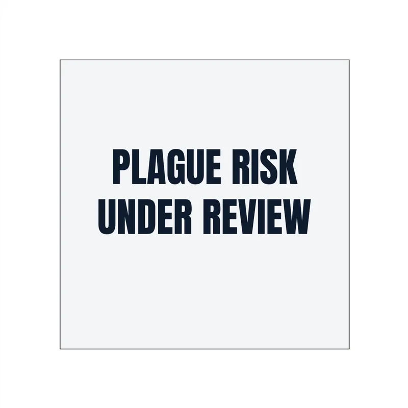 PLAGUE RISK · UNDER REVIEW in White