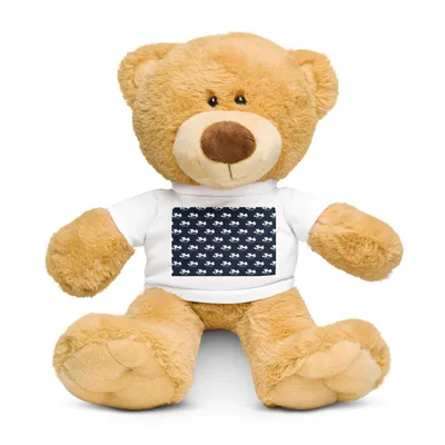 Teddy Bear with a T-shirt in White