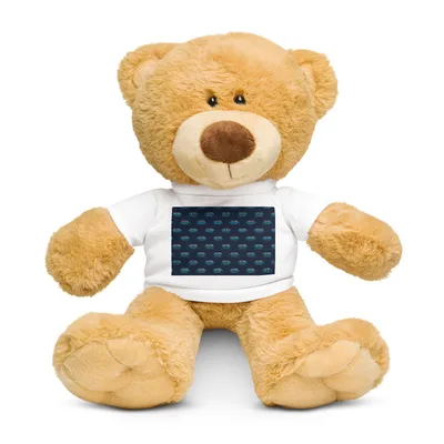 Teddy Bear with a T-shirt in White