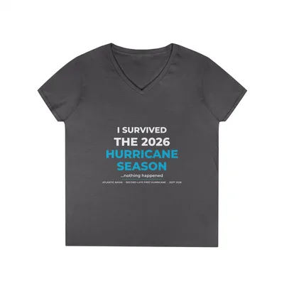 Ladies' V-Neck T-Shirt in Charcoal