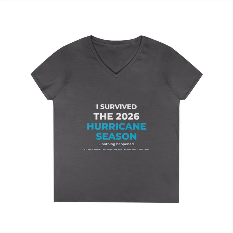 Ladies' V-Neck T-Shirt in Charcoal