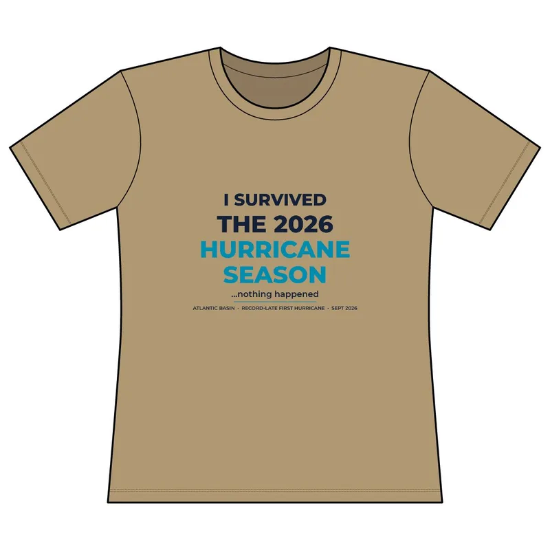 Women's Relaxed Fit Cotton T-Shirt in Tan