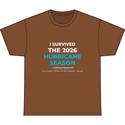 Heavyweight Very Important Tee in Baked Clay