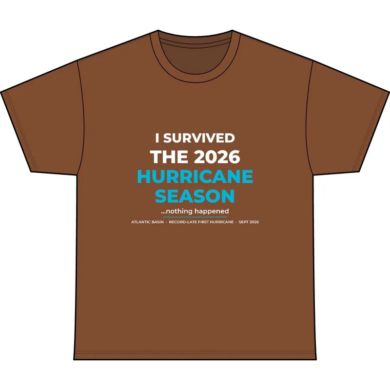 Heavyweight Very Important Tee in Baked Clay