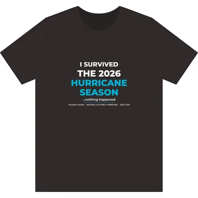 Women's Stone Wash Heavy Tee in Black Stone