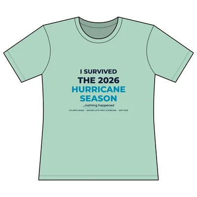 Women's Perfect Weight CVC Tee in Frosted Mint