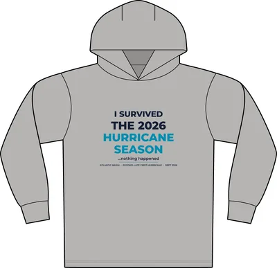 Workwear Pro Long Sleeve Hooded Tee in Light Grey