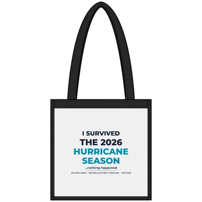 Clear Stadium Tote in Clear/ Black