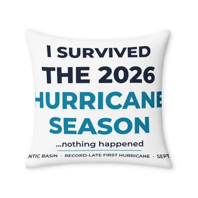 Throw Pillow Case
